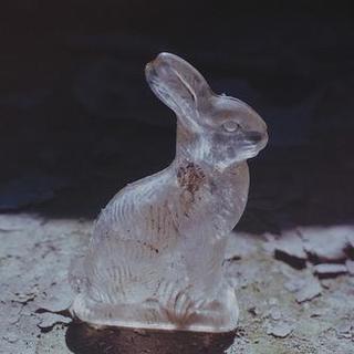 玻璃兔高清