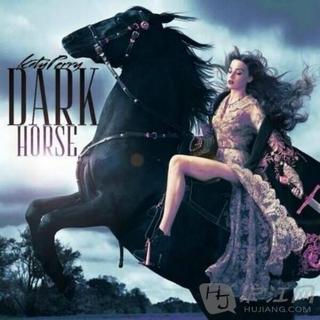 【欧美】dark horse……katy perry (feat.tee)