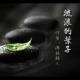 115流浪的叶子（配乐诗歌 作者：碑林路人 朗诵：千纸鹤） episode artwork