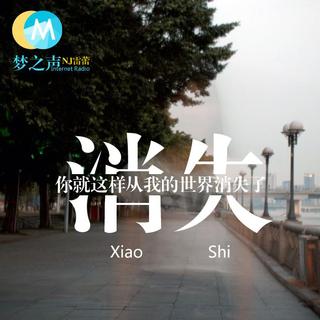 消失图片伤感带字图片