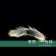 李想一分钟-20150716-田畯 episode artwork