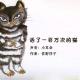佐野洋子：活了一百万次的猫 | 小耳朵为你读 episode artwork