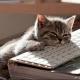 你一定得了怕麻烦这种病 | 亚东为你读 episode artwork