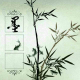 毛晓娟的三言两语 episode artwork