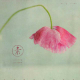 心若素简，方归自然 episode artwork