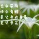 《父亲·山》《矮矮的坟》《爸爸的生日》《父亲安好，便是晴天》 episode artwork