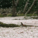 谁不曾遇见混蛋 episode artwork