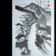 历尽沧桑，依然体面 episode artwork