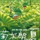 多妈自弹钢琴曲12 《菊次郎的夏天（Summer）》---曲：久石让 episode artwork
