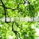 谁搬走了我的树荫 episode artwork