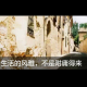 西子谦散文（生活的风雅，不是附庸得来） episode artwork