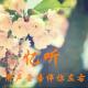 【故事冷暖】一个美丽的约定-昔颜 episode artwork