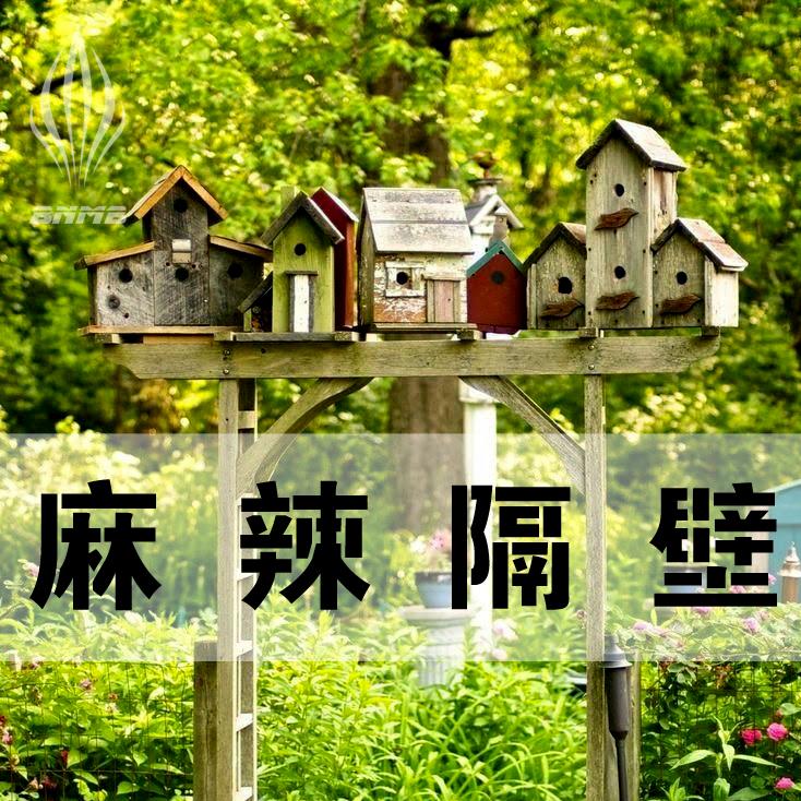 bnmb_ 麻辣隔壁