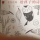 我们毁掉的（节选） episode artwork