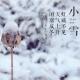 二十四节气~小雪 episode artwork