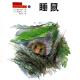 20170106雅雅的科学书-森林里的小精灵 睡鼠 episode artwork