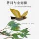 【火火兔讲绘本】系列：蒂科与金翅膀 episode artwork