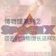 博物馆系列② 过去的博物馆长这样？ episode artwork