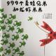 《999个青蛙兄弟和龙虾弟弟》 episode artwork