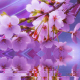 我想有一处小院，繁花爬满篱笆 episode artwork