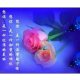 想你（雪峰清雅） episode artwork
