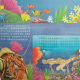 6岁小主播来稿：海洋生物的共生 episode artwork