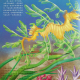 儿童节特别节目| 海马家族 episode artwork
