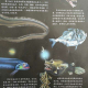 儿童节礼物| 深海居民 episode artwork