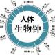 【Kris雅思晨读0604】How does the biological clock tick? episode artwork