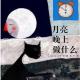 月亮晚上做什么 episode artwork