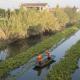China destina 7.500 millones de dólares para protección ambiental episode artwork