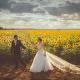 欧美音乐人来疯--出嫁结婚时必听的这些歌！ episode artwork