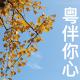 外语桥 ：粤伴你心 episode artwork