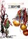 20171212雅雅的故事书-三颗柠檬 episode artwork