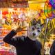 Costumbres se han cambiado en la Fiesta de la Primavera de 2018 episode artwork