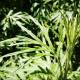 翻唱<<春风十里>> episode artwork