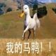 四川南充：国庆过完了，该收收心过春假了 episode artwork