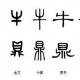 Puro Chino：Evolución y características de la escritura china episode artwork