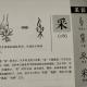 60采——畫說漢字/圖解《說文解字》/1000個漢字的故事/東漢許慎原著 episode artwork