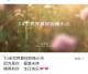 楠得有你，生日快乐（来自FM1912614) episode artwork