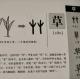 67草——畫說漢字/圖解《說文解字》/1000個漢字的故事/東漢許慎原著 episode artwork