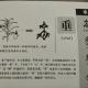 107垂——畫說漢字/圖解《說文解字》/1000個漢字的故事/東漢許慎 episode artwork