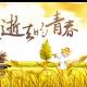 《青春》 朗诵：千纸鹤 episode artwork