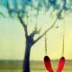 英葡结合歌曲｜The secrets in silence episode artwork