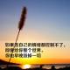 所有坏情绪，最后买单的都是你自己 episode artwork