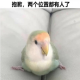 车停的地方叫车位，人停的地方那叫灵位！ episode artwork