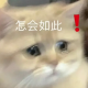 凌晨两点男女相约去爬山，目的到底是啥？ episode artwork
