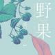 走，跟梭罗采野果去 · 永清 episode artwork