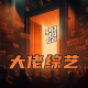 大佬来了No'45——假如我是综艺节目导演，我要拍点啥 episode artwork