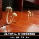 161.住宿生活，我们在寝室里养蘑菇 episode artwork